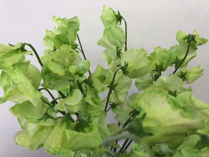 フレッシュアップル