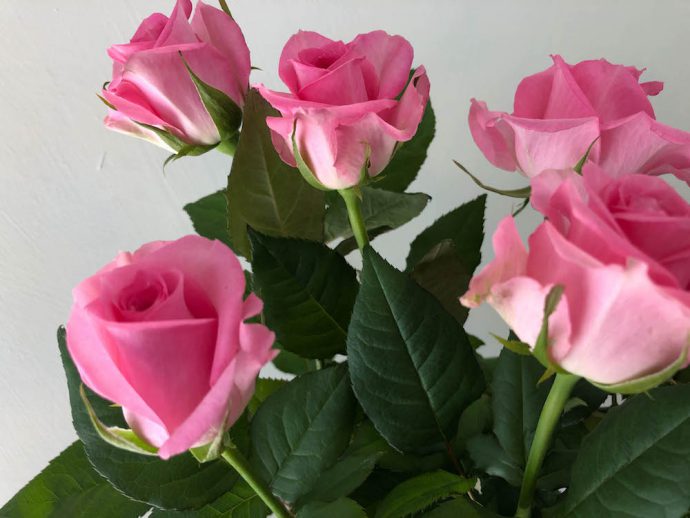 スイートユニーク