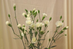 ホワイトリリアン　スプレーカーネーション　