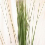 スチールグラス