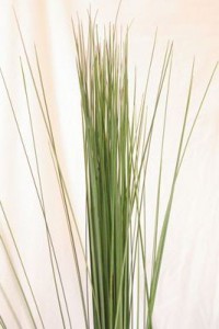 スチールグラス