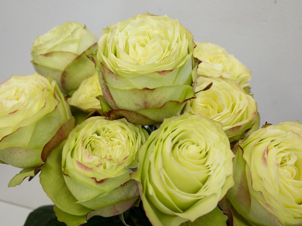 グリーンフィールド