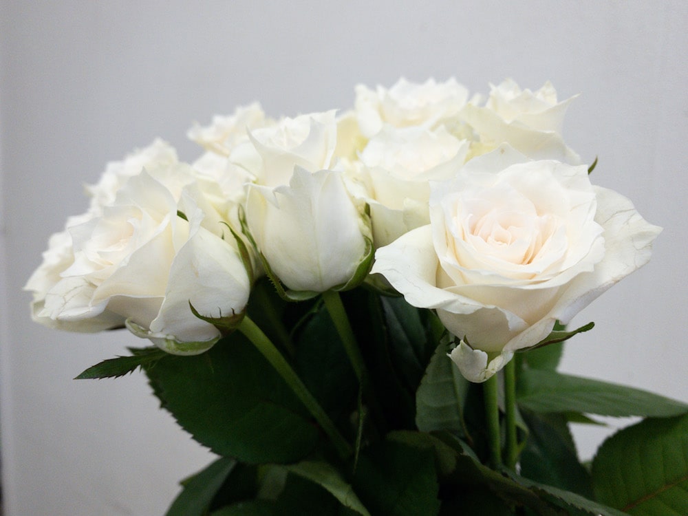 グランオマージュ