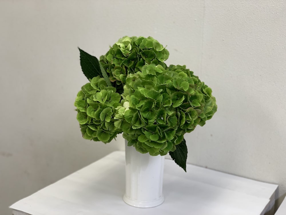 アジサイ 花言葉