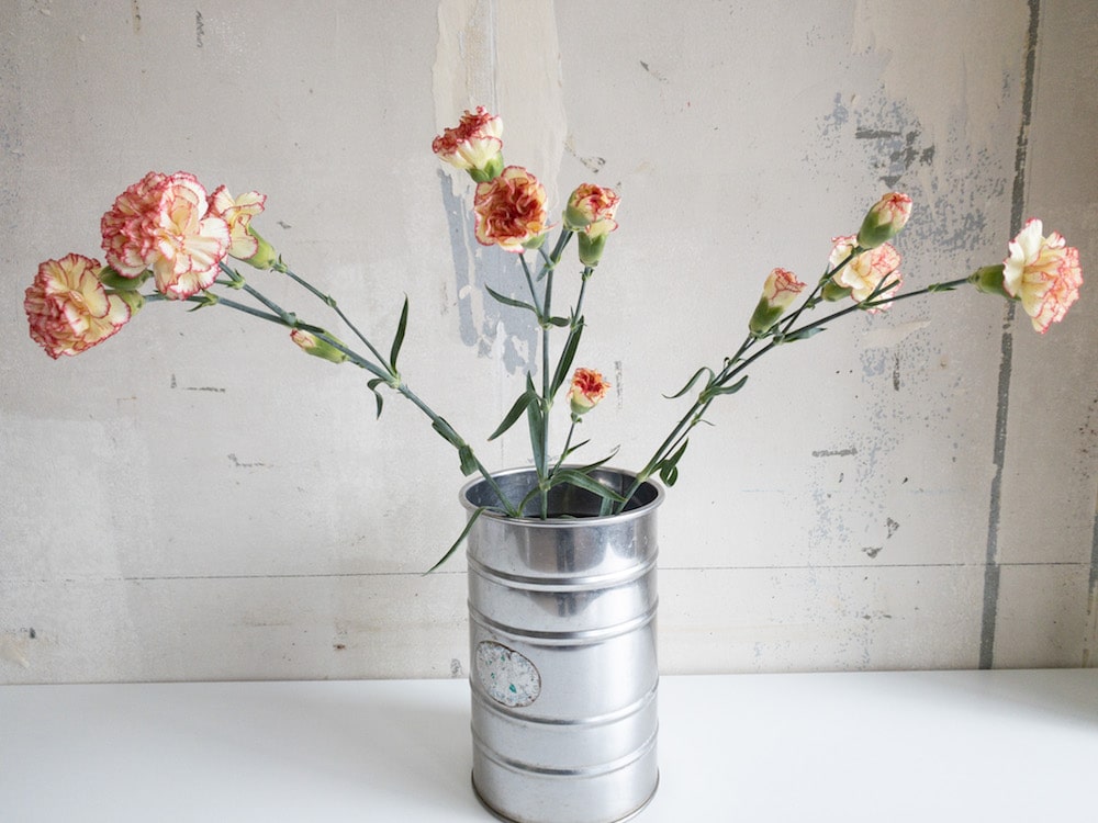 カーネーション　切り花