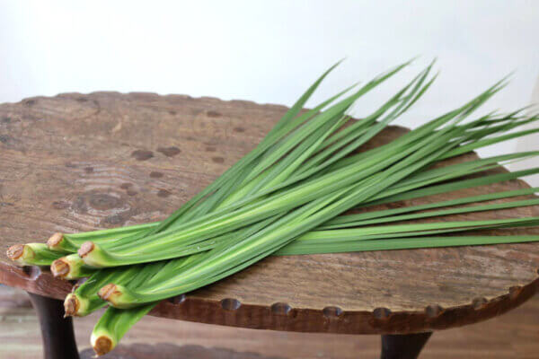 沖縄シャガ（Okinawa Shaga）