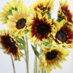 ひまわり『サンリッチライチ』（Sunrich Lychee）