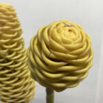 ジンジャー『イエローシャンプー』（Ginger 'Yellow Shampoo'）